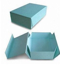 Wholesale Fast Food Paper Packaging Boxes