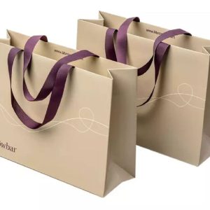Boutique Paper Bags manufacturer Wholesale cloth garment carry bag