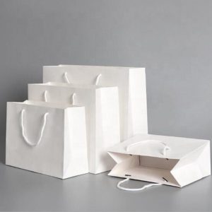Wholesale White Kraft Paper Carrier Bags with Rope Handle