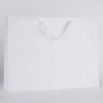 White Matt Laminated Ribbon Gift Bags