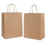 twisted-handle-paper-bags
